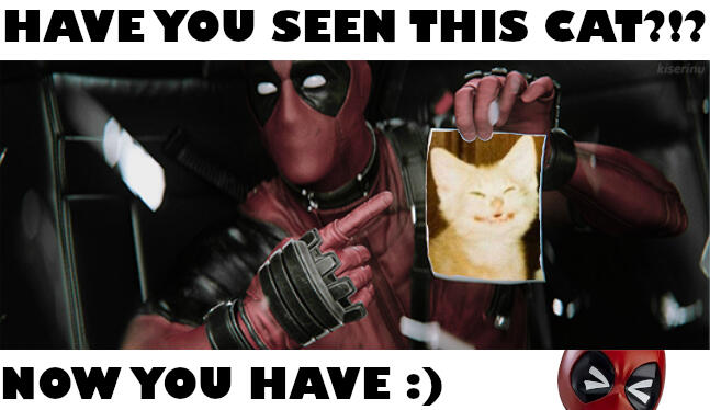Deadpool have you seen this cat now you have