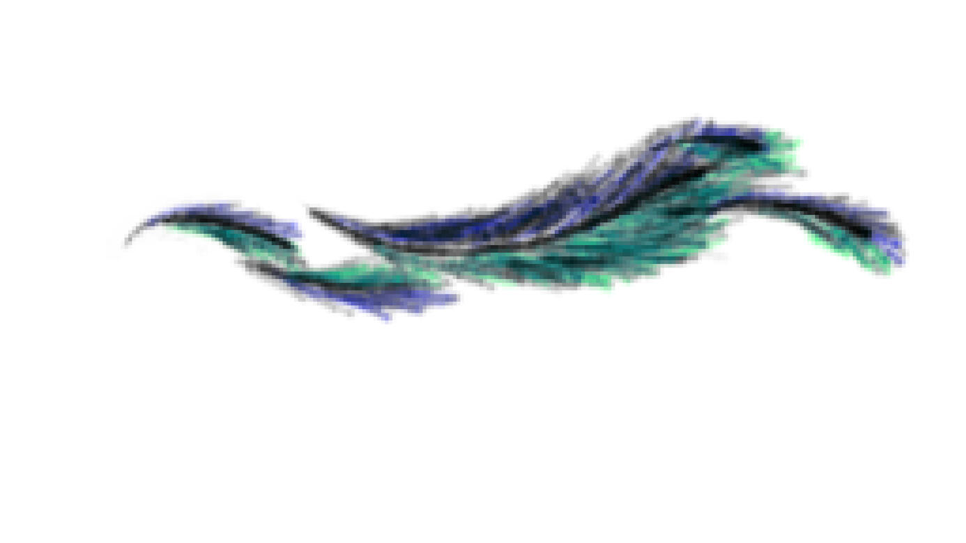 Feathers Blue Green
